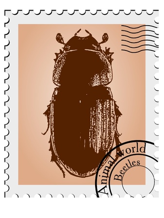 Vector stamp with a illustration of a beetle のイラスト素材