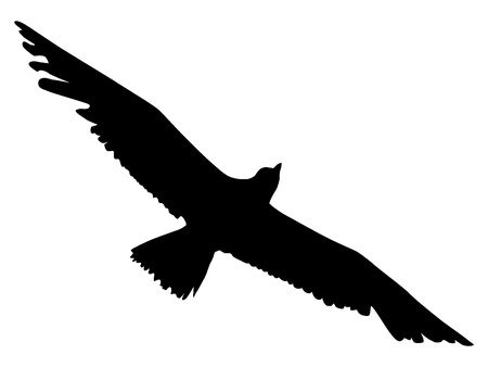 Silhouette of an albatrossのイラスト素材