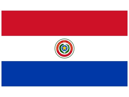 Vector illustration of the flag of Paraguay  のイラスト素材