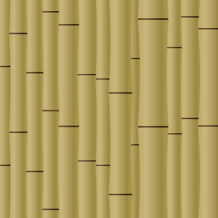 Abstract bamboo background  のイラスト素材