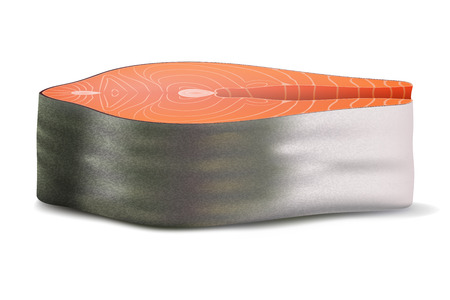 Piece of fresh salmonのイラスト素材