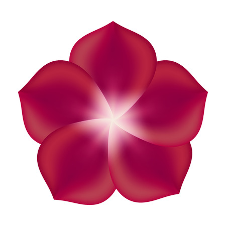Red Flower, Isolated On White Background Illustrationのイラスト素材