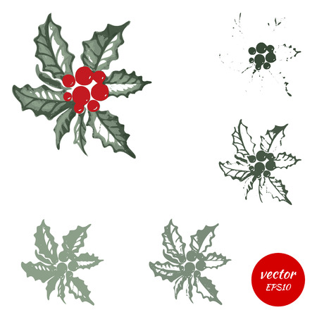 Set holly berry, sprigs of green isolated on white background. Symbol of Christmas, watercolor holy. Vector illustration.のイラスト素材