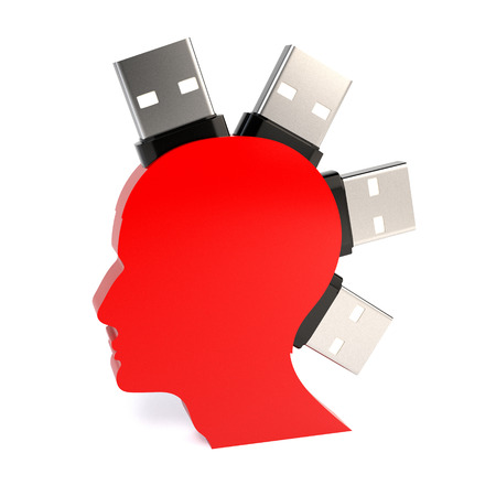 Silhouette of a man's head with a flash drive, isolated on white background. Concept of information...
