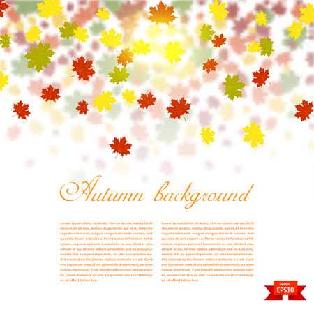 Autumn background with colored maple leaves. changing seasons illustration. Banner, card, poster.のイラスト素材