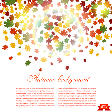 Autumn background and sunlight. Illustration of falling red, yellow and green maple leaves. 
Image season. Maple leaves on a white background. Autumn weather.のイラスト素材