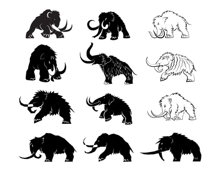 Set of black silhouettes of mammoths on a white background. Prehistoric animals of the ice age in various poses. Elements of nature and evolutionary development. Vector illustration
のイラスト素材