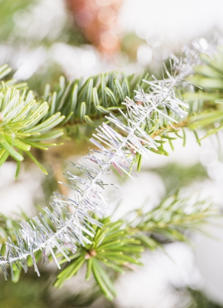 Holiday decoration on branches of christmas treeの写真素材