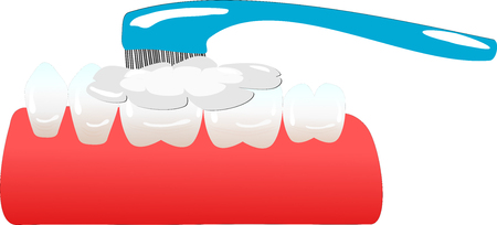 side teeth are cleaned with a toothbrushの写真素材