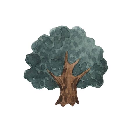Watercolor trees, forest, pine, blue spruce, oak, landscape. In various embodiments. The illustration is for another design. Isolated over white backgroundの写真素材