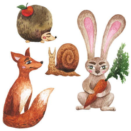 Watercolor set with forest animals. Wild animal drawing for stickersの写真素材