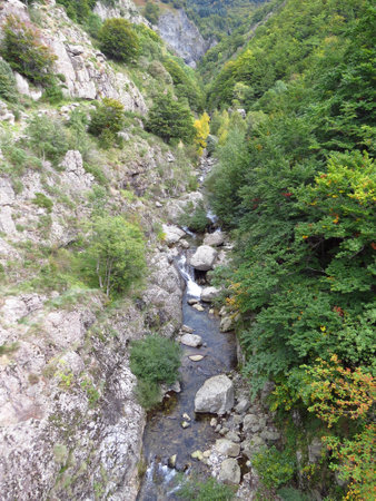 Ruisseau dans la nature - Creek in nature Ruisseau dans la nature - Creek in nature