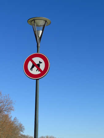 No dogs allowed sign on a lamppostの写真素材