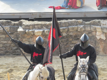 Reconstitution of an equestrian fight of knights during a medieval showの写真素材
