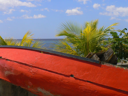 Boat on the beach with palm trees and blue sky background.の写真素材