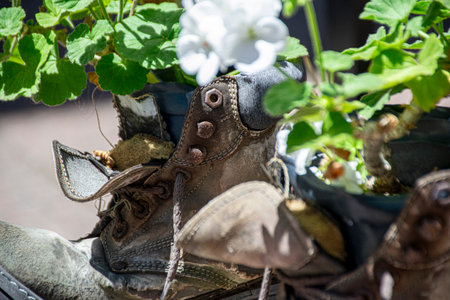 Close-up of old shoes transformed into flower potsの写真素材