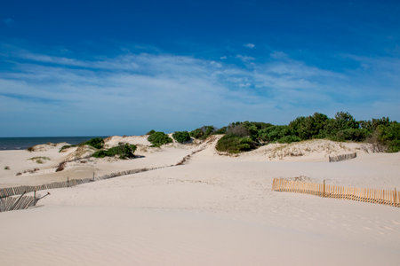 Panorama on the white sand beach paradise of El Pinar, Ciudad de la Costa, Canelones, in Uruguayの写真素材