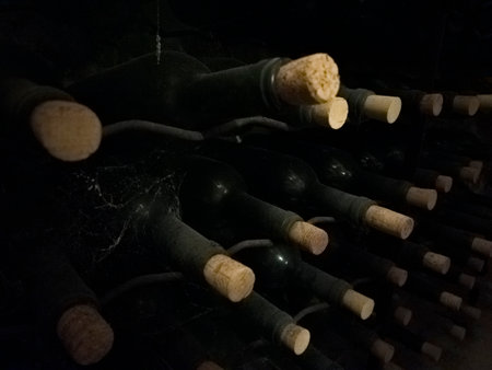 Personal wine cellar in basement