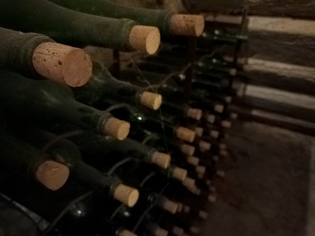 Personal wine cellar in basement