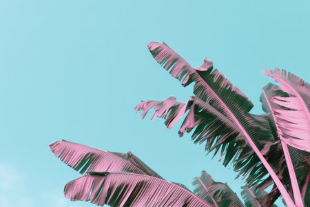 Tropical palm leaves on blue sky background. Minimal style.の素材