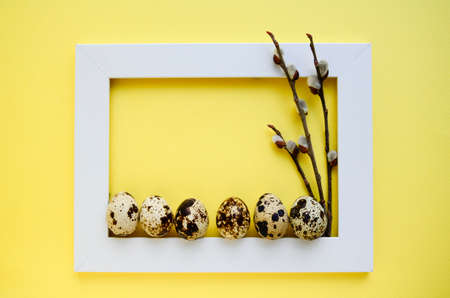 Row of quail eggs in white wooden frame and willow branches on yellow background with copy space....
