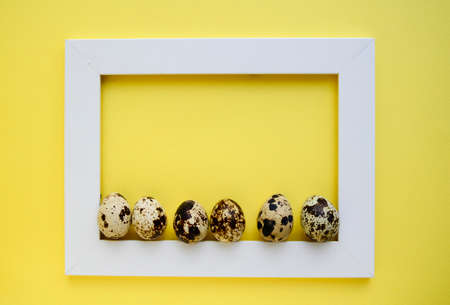 Row of quail eggs in white wooden frame on yellow background with copy space. Happy Easter concept.の写真素材