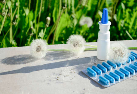 White dropper bottle and spring flowers on gray background with shadows with copy space. Concept of...