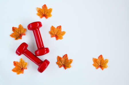 Two red dumbbells and yellow autumn maple leaves on white background with copy space. Concept of healthy lifestyle, giving gifts, love of sports, shopping, halloween, autumn.の写真素材