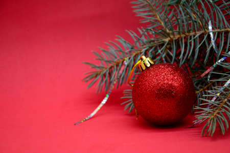 One shiny christmas red ball and a green branch of the Christmas tree on red background. Christmas flatly. New year 2022.の写真素材