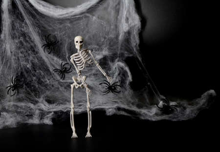Skeleton, spider web on black background with copy space. Concept of scary Halloween.の写真素材