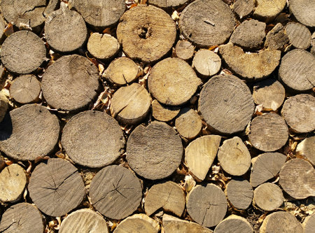 Path in park is made of hand cut logs in autumn. Wooden background made of sawn logs.の写真素材