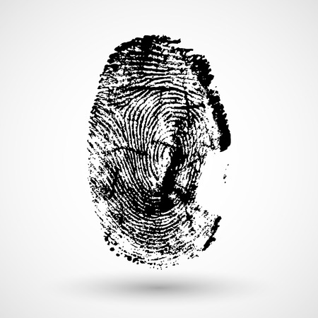 Fingerprint isolated on whiteのイラスト素材