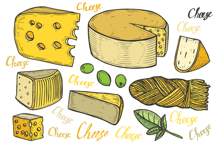 Hand drawn Cheese vector set engraving illustration. Other types of milk cheese slice. Colorful food isolated on white background. Fat organic bio farm food set engraved collection.のイラスト素材
