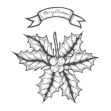 Hand drawn Christmas holly, retro vintage decoration.のイラスト素材