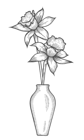 Vase with Daffodil flowers. Linear hand drawn vector sketch engraved illustration. Isolated on white backgroundのイラスト素材