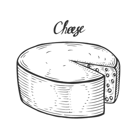 Hand drawn Ink Cheese vector engraving illustration. Isolated on whiteのイラスト素材