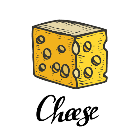 Yellow Hand drawn Ink Cheese vector engraving illustration. Isolated on whiteのイラスト素材