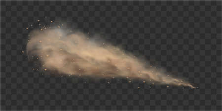 A brown dusty cloud with flying small escaping from under the wheels of a moving car. Vector illustration isolated on transparent background.のイラスト素材