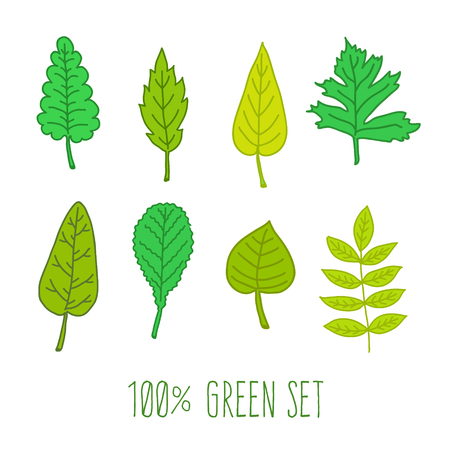 Set of various types of green hand drawn leaves. Vector botanical collection for eco designのイラスト素材
