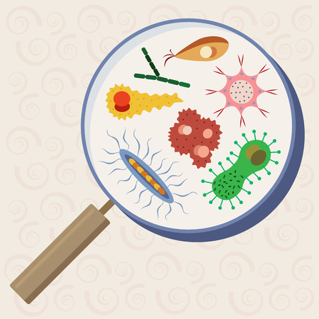 Cartoon various amebas and microbes. Vector illustrationのイラスト素材