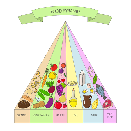 Health food pyramid. Vector illustrationのイラスト素材