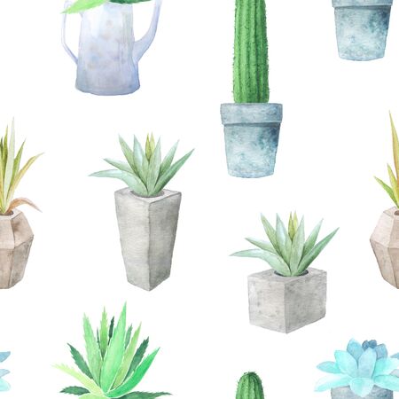 Watercolor seamless pattern with different succulents and plants on white backdrop. Home decor background with colorful vibrant hand painted agave and aloe flower in the potsの写真素材