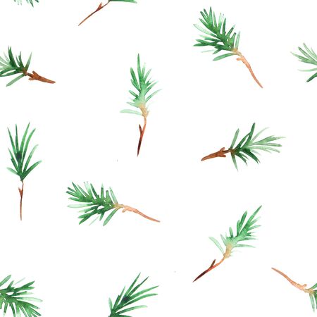 Seamless pattern with watercolor pine branches set. Hand painted green coniferous twigs. Decorative...