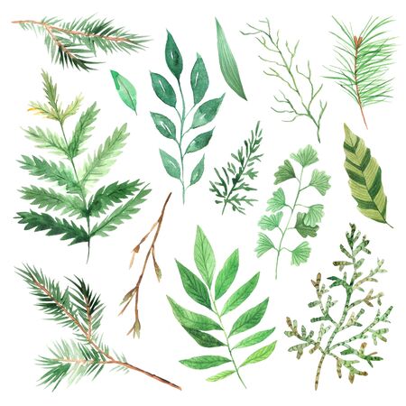 Watercolor green spring leaves set. Collection of hand painted green foliage inspired by garden greenery and plats. Isolated objects perfect for eco nature designの写真素材