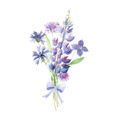 Watercolor hand painted wildflowers, field plants, garden herbs, delicate leaves and branches, wild meadow flowers and grass isolated on white. Modern watercolor style floral collectionの写真素材