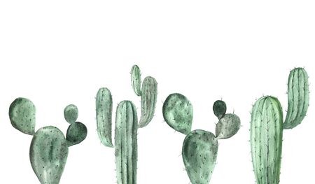 Watercolor hand painted exotic green cactus collection. Set of tropic succulents and flowering plants. Mexican style background templateの写真素材