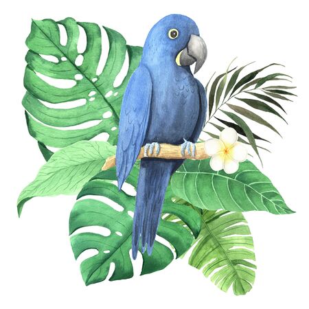 Watercolor hand painted tropical flowers, leaves, plants and parrot composition. Bright jungle exotic bouqoet perfect for summer wedding invitation and party card makingの写真素材