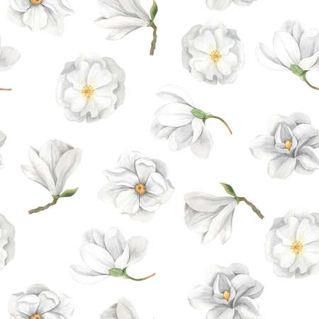 Seamless pattern with hand painted watercolor magnolia flowers in light white color inspired by garden plants. Romantic floral background perfect for fabric textile, vintage paper or scrapbookingの写真素材