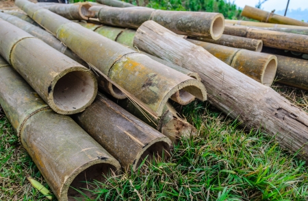 Old Bamboo Sliceの写真素材