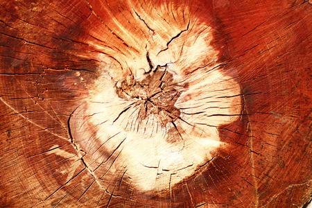 Big Brown wood plank wall texture backgroundの写真素材